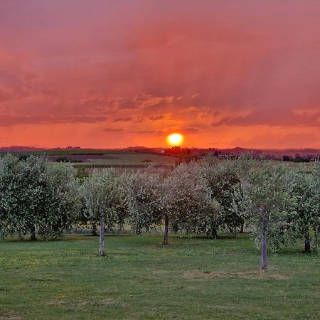 Podere Molinaccio Panicale Eksteriør bilde