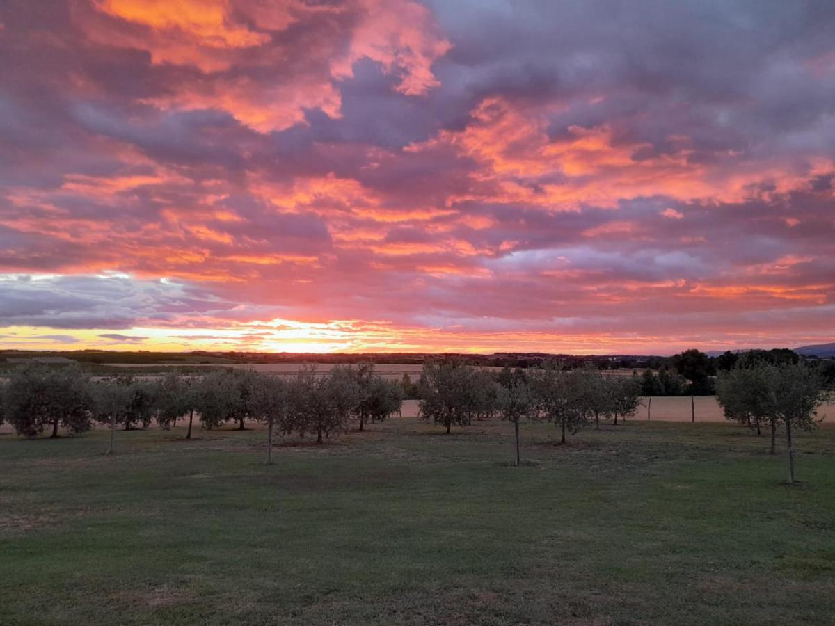 Podere Molinaccio Panicale Eksteriør bilde