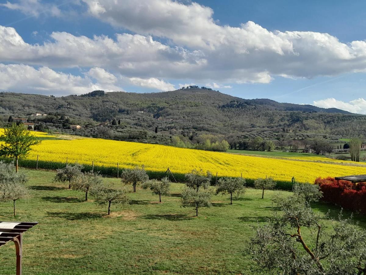 Podere Molinaccio Panicale Eksteriør bilde