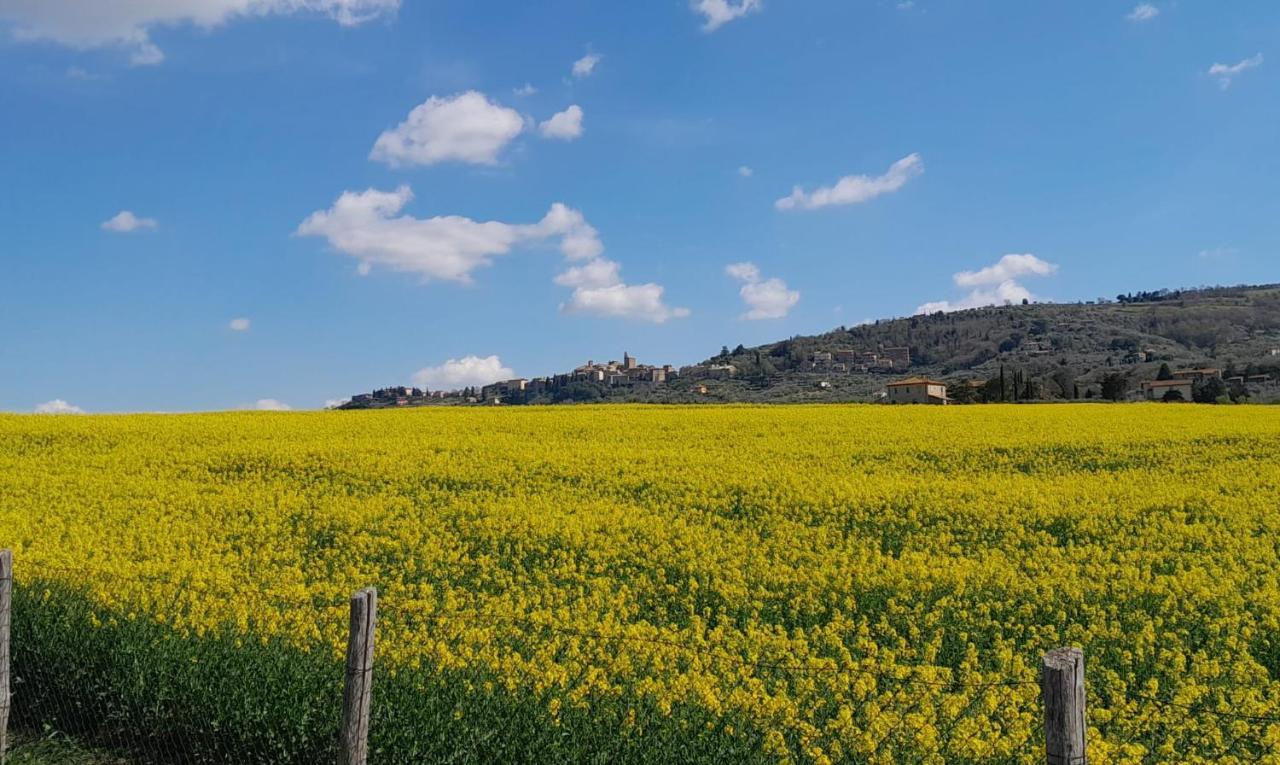 Podere Molinaccio Panicale Eksteriør bilde