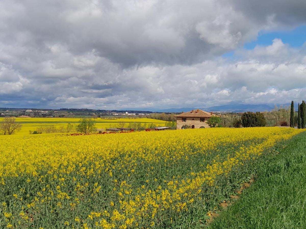 Podere Molinaccio Panicale Eksteriør bilde