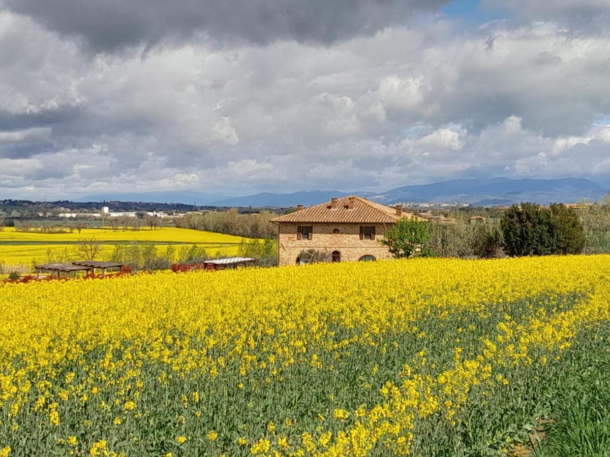 Podere Molinaccio Panicale Eksteriør bilde