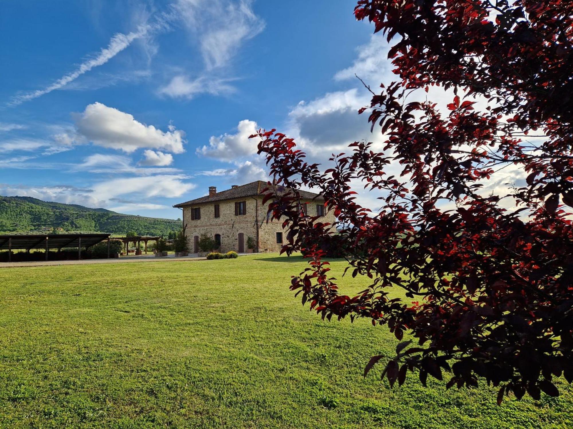 Podere Molinaccio Panicale Eksteriør bilde