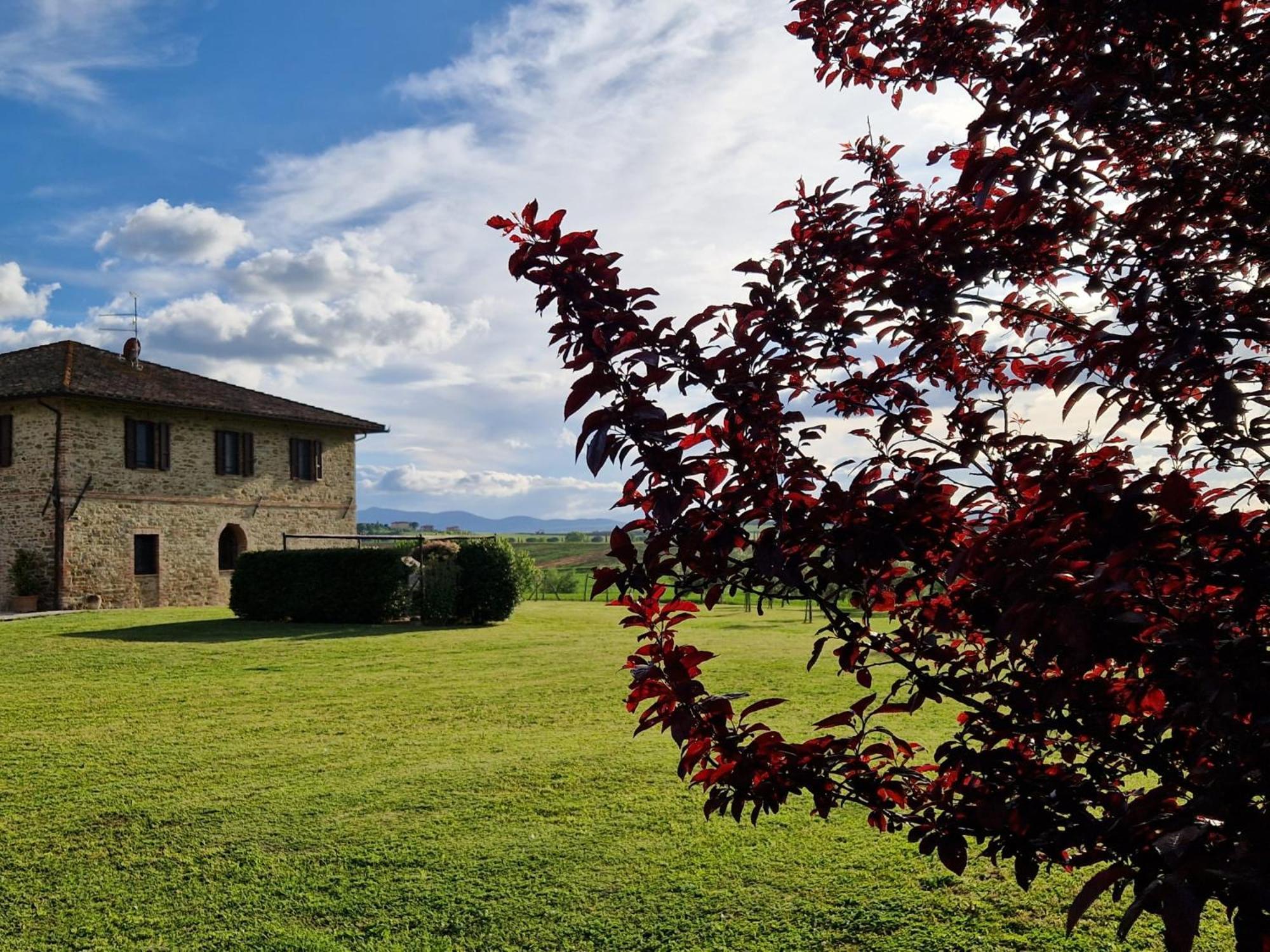 Podere Molinaccio Panicale Eksteriør bilde