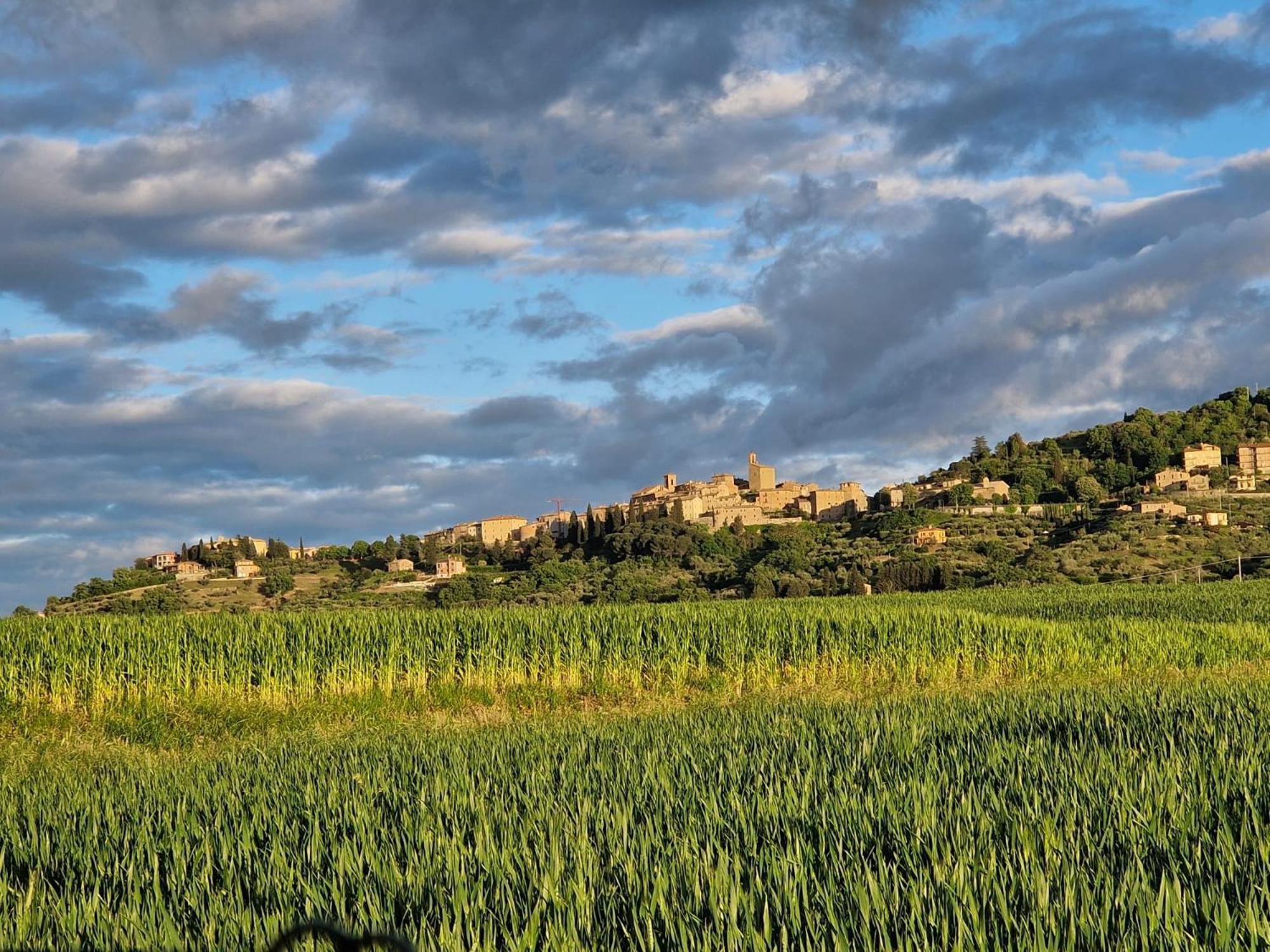 Podere Molinaccio Panicale Rom bilde