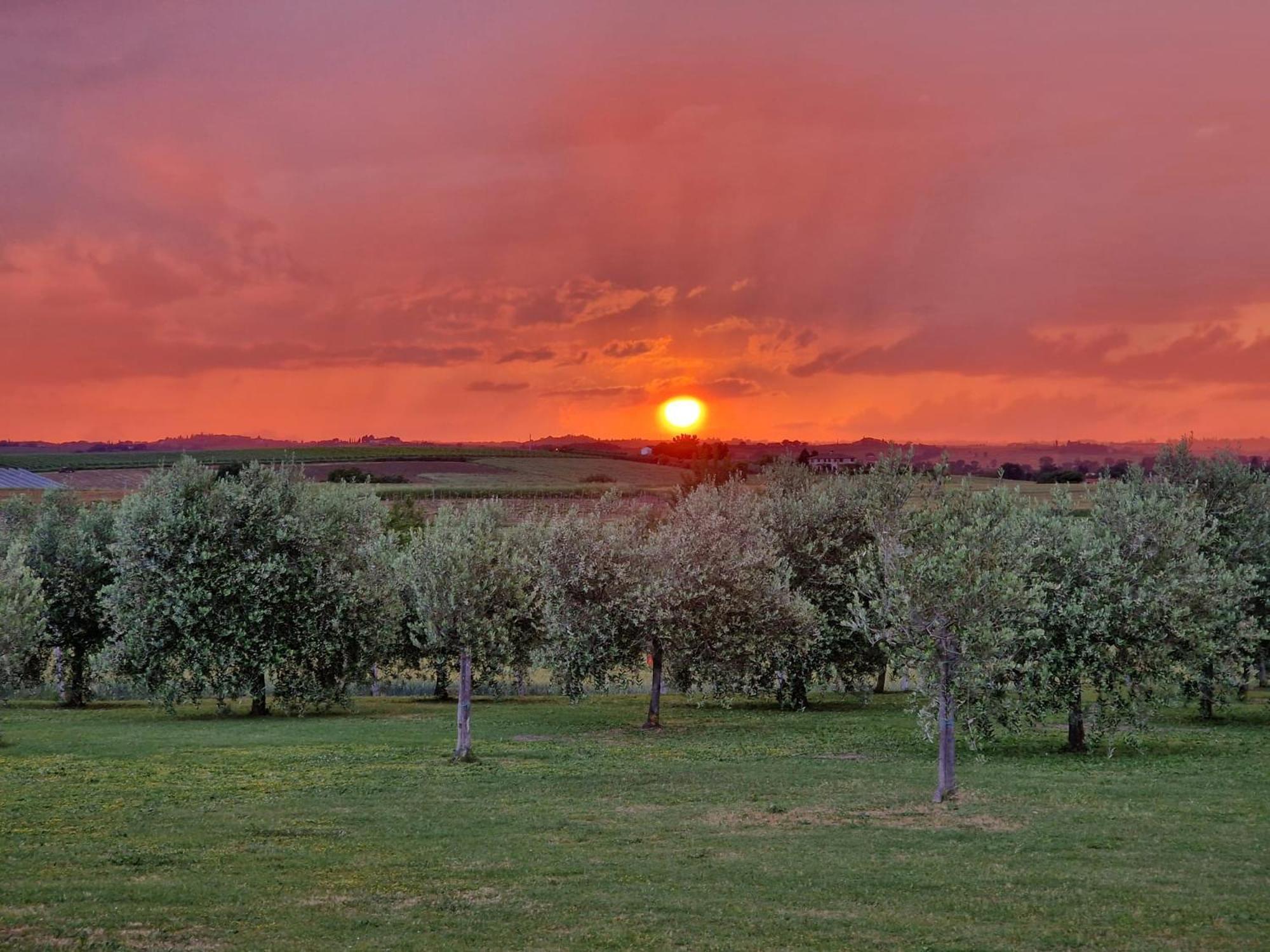 Podere Molinaccio Panicale Eksteriør bilde