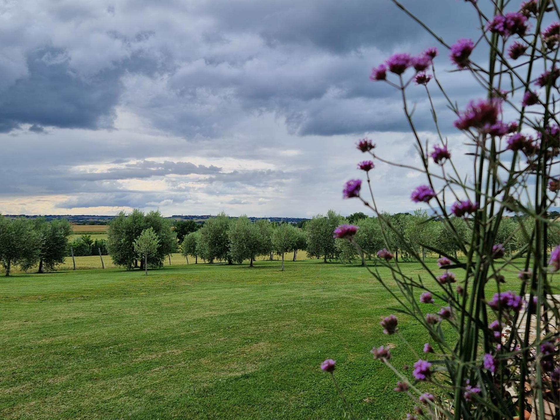 Podere Molinaccio Panicale Eksteriør bilde