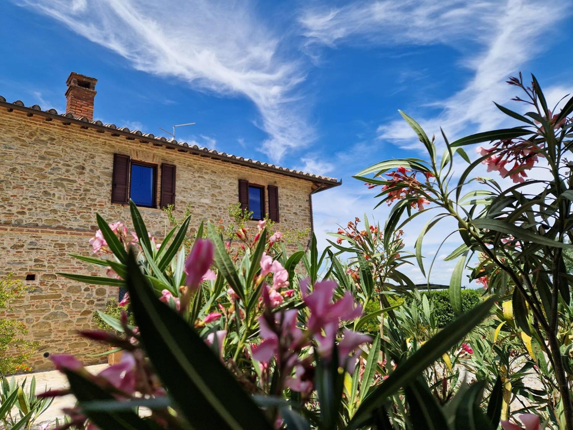 Podere Molinaccio Panicale Eksteriør bilde