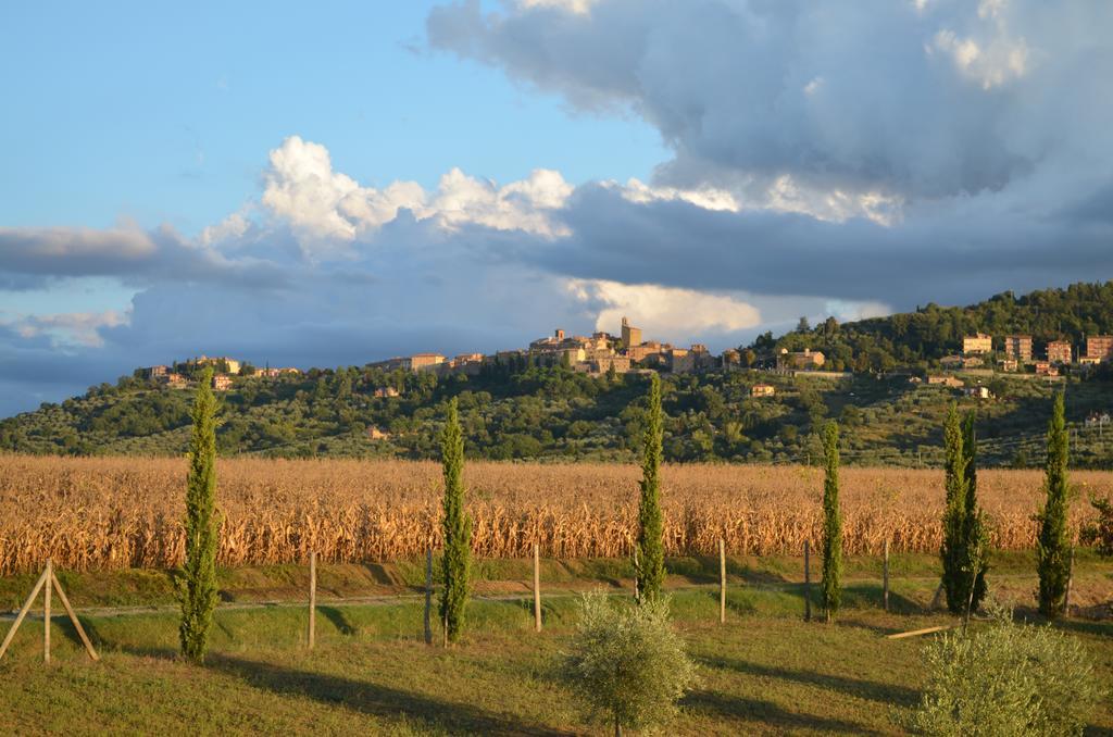 Podere Molinaccio Panicale Rom bilde
